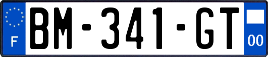 BM-341-GT