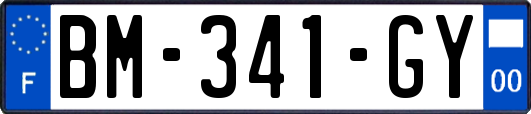 BM-341-GY