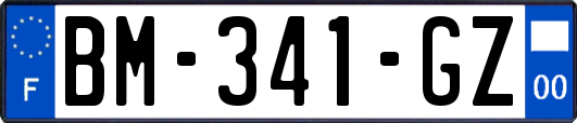 BM-341-GZ