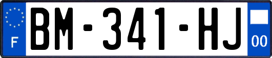 BM-341-HJ