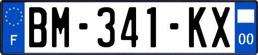 BM-341-KX
