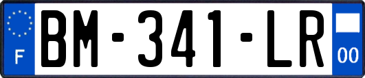 BM-341-LR