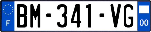 BM-341-VG
