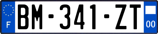 BM-341-ZT