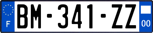 BM-341-ZZ