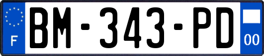 BM-343-PD