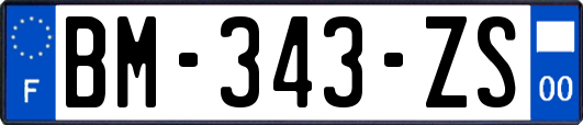 BM-343-ZS