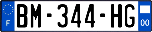 BM-344-HG