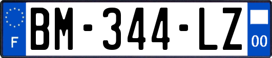 BM-344-LZ