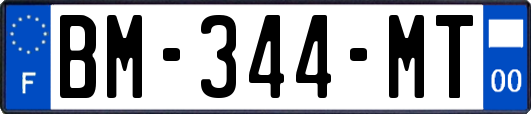 BM-344-MT