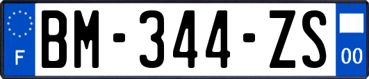 BM-344-ZS