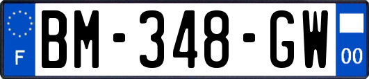 BM-348-GW