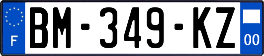 BM-349-KZ