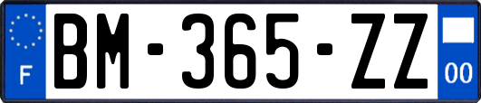 BM-365-ZZ