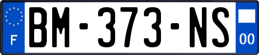 BM-373-NS