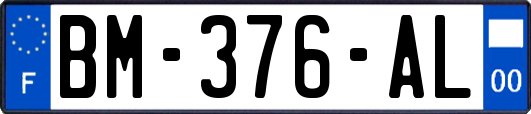 BM-376-AL