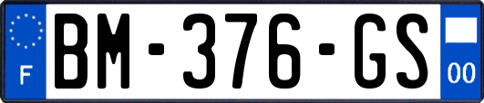 BM-376-GS