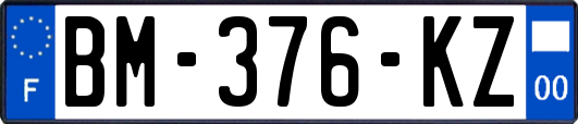 BM-376-KZ