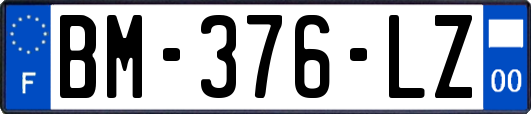 BM-376-LZ