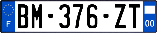 BM-376-ZT