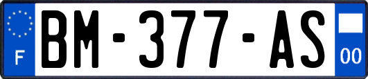 BM-377-AS