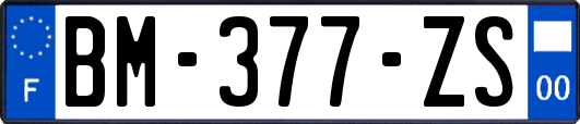 BM-377-ZS