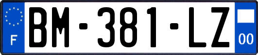 BM-381-LZ