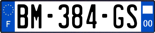 BM-384-GS