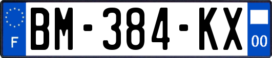 BM-384-KX