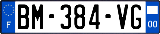 BM-384-VG