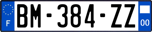 BM-384-ZZ