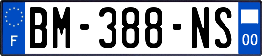 BM-388-NS