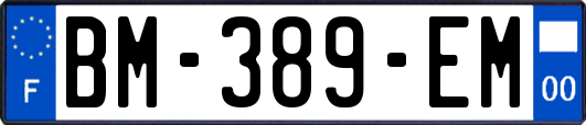 BM-389-EM
