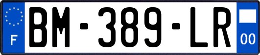 BM-389-LR
