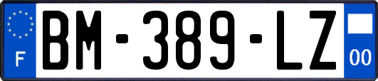 BM-389-LZ