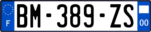 BM-389-ZS