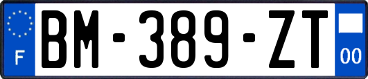 BM-389-ZT