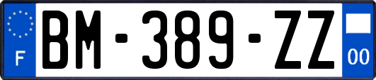 BM-389-ZZ