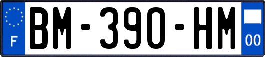 BM-390-HM