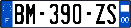 BM-390-ZS