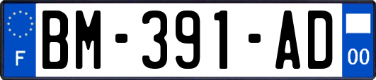 BM-391-AD