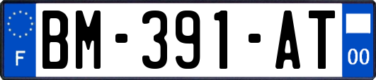 BM-391-AT