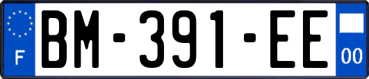 BM-391-EE