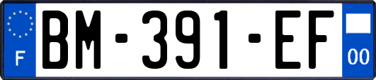 BM-391-EF