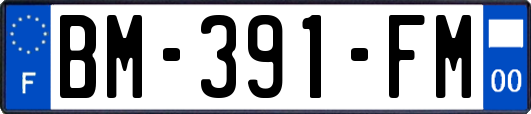 BM-391-FM