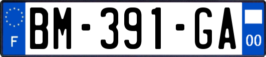 BM-391-GA