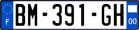 BM-391-GH