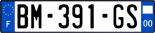 BM-391-GS