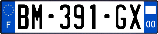 BM-391-GX