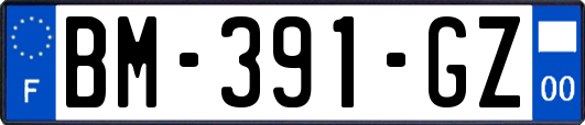 BM-391-GZ